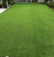 Rumput Sintetis