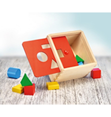 Sorting Box PAUD